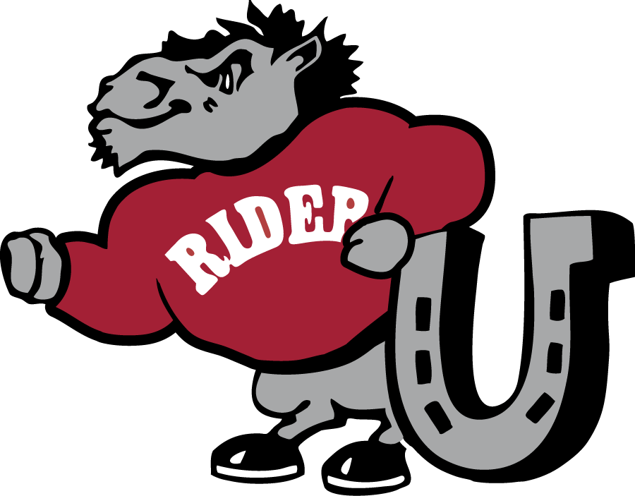 Rider Broncs 1994-2007 Primary Logo diy DTF decal sticker